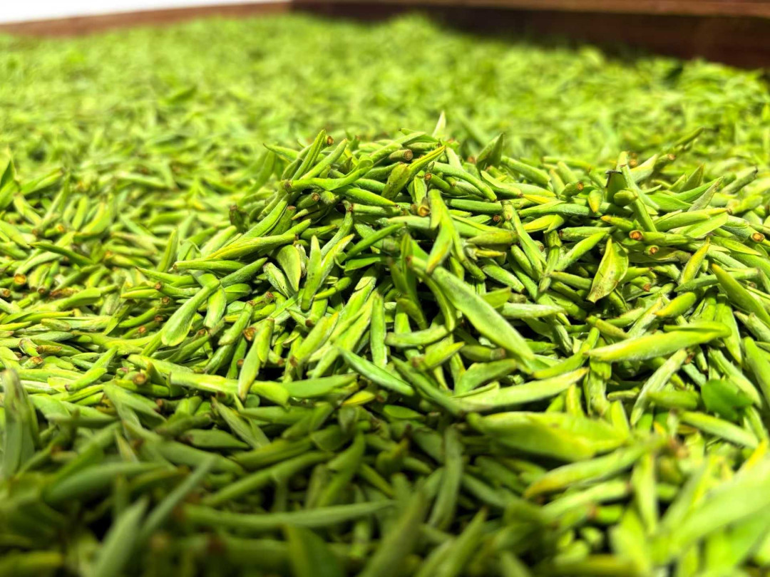 双11刷到的半价“新茶”,可能明年春天都等不到:秋末绿茶到底值不值得买