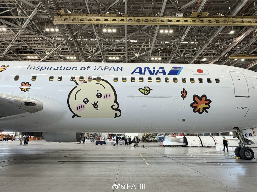 全日空吉伊卡哇主题彩绘机机身外观
