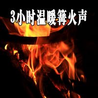 城市太吵，就进山"收点声音"吧！户外录音新手避坑指南