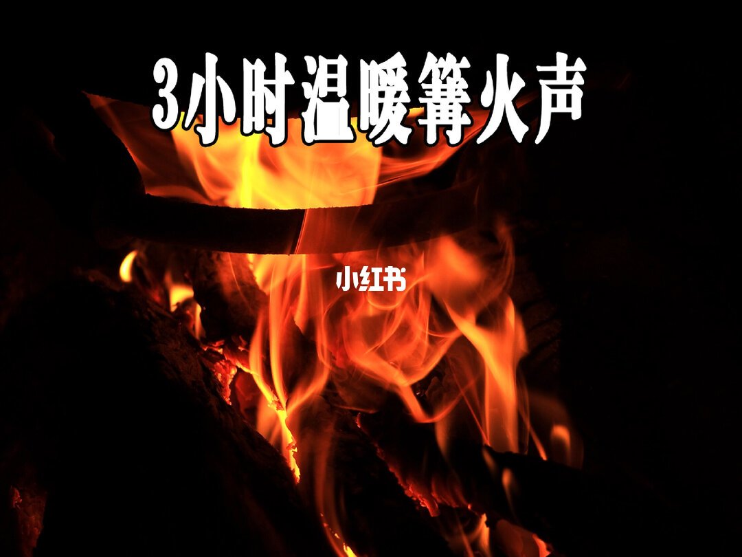 李星宇刚晒出户外单兵录音设备清单:想录大自然的声音,先看懂这套真实装备