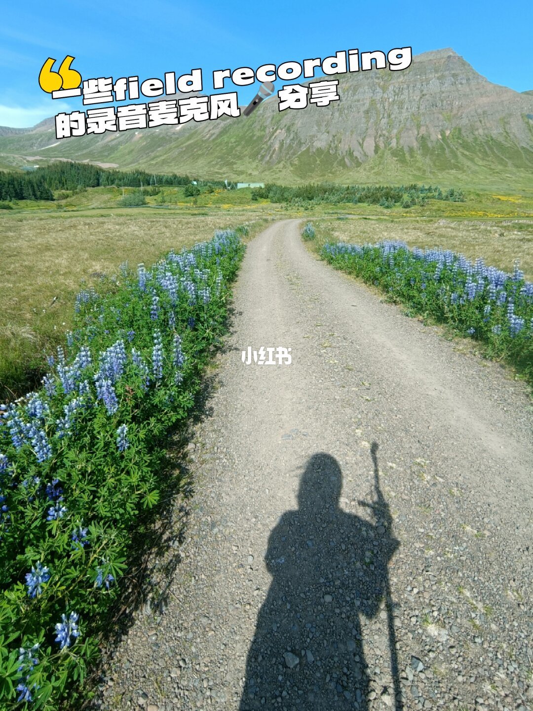 李星宇刚晒出户外单兵录音设备清单:想录大自然的声音,先看懂这套真实装备