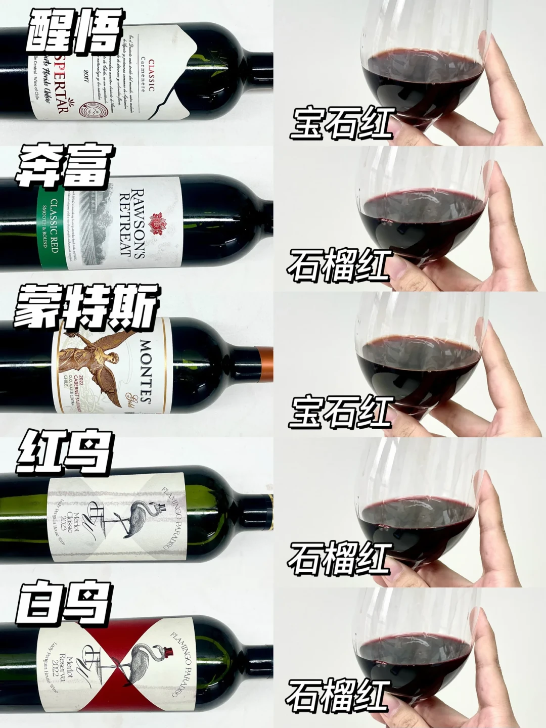 几款红酒酒色对比