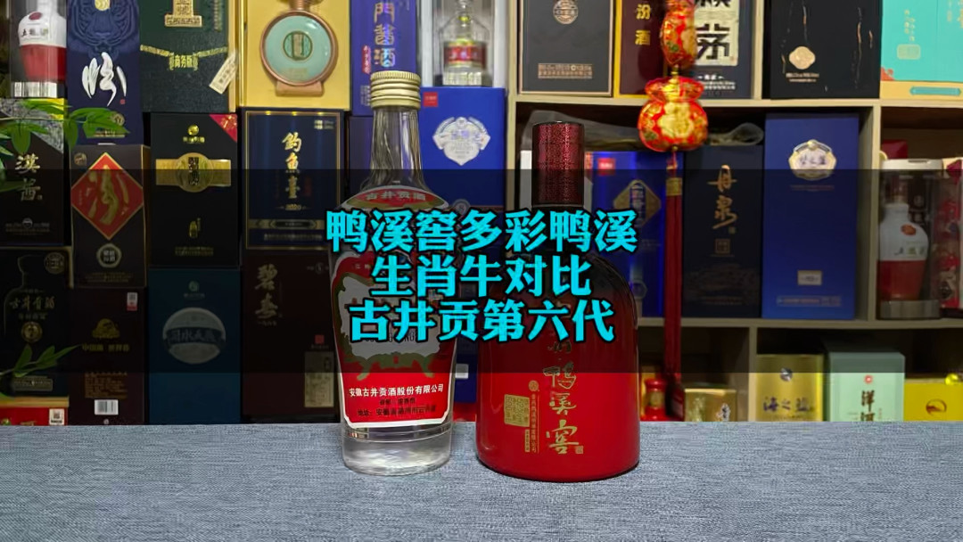 鸭溪窖多彩生肖对比测评视频封面