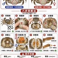 大闸蟹正确吃法｜分清公母，牢记四不吃