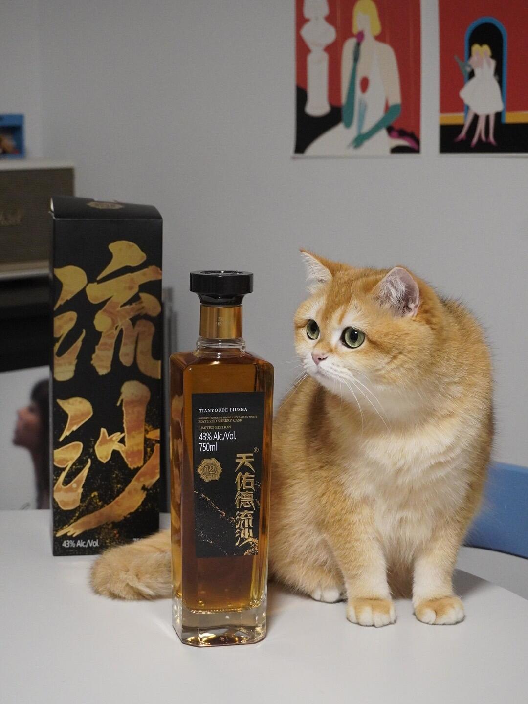 43度青稞