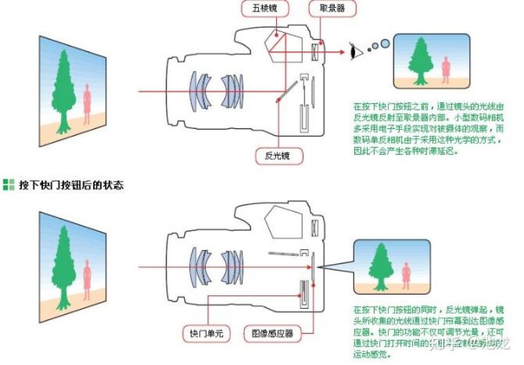 单反的光路全靠反光板和五棱镜，把镜头画面翻进取景器