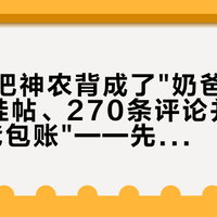 奶爸们把神农背成了"奶爸包"：5篇带娃帖、270条评论并成一册"奶爸包账"——先交四笔税，再对六类人，最后才轮到双11
