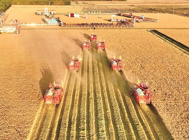 国际米价涨50%、摩根大通喊粮食危机，北大仓的新米却在打折卖：双11买米前，我把四笔账对完了