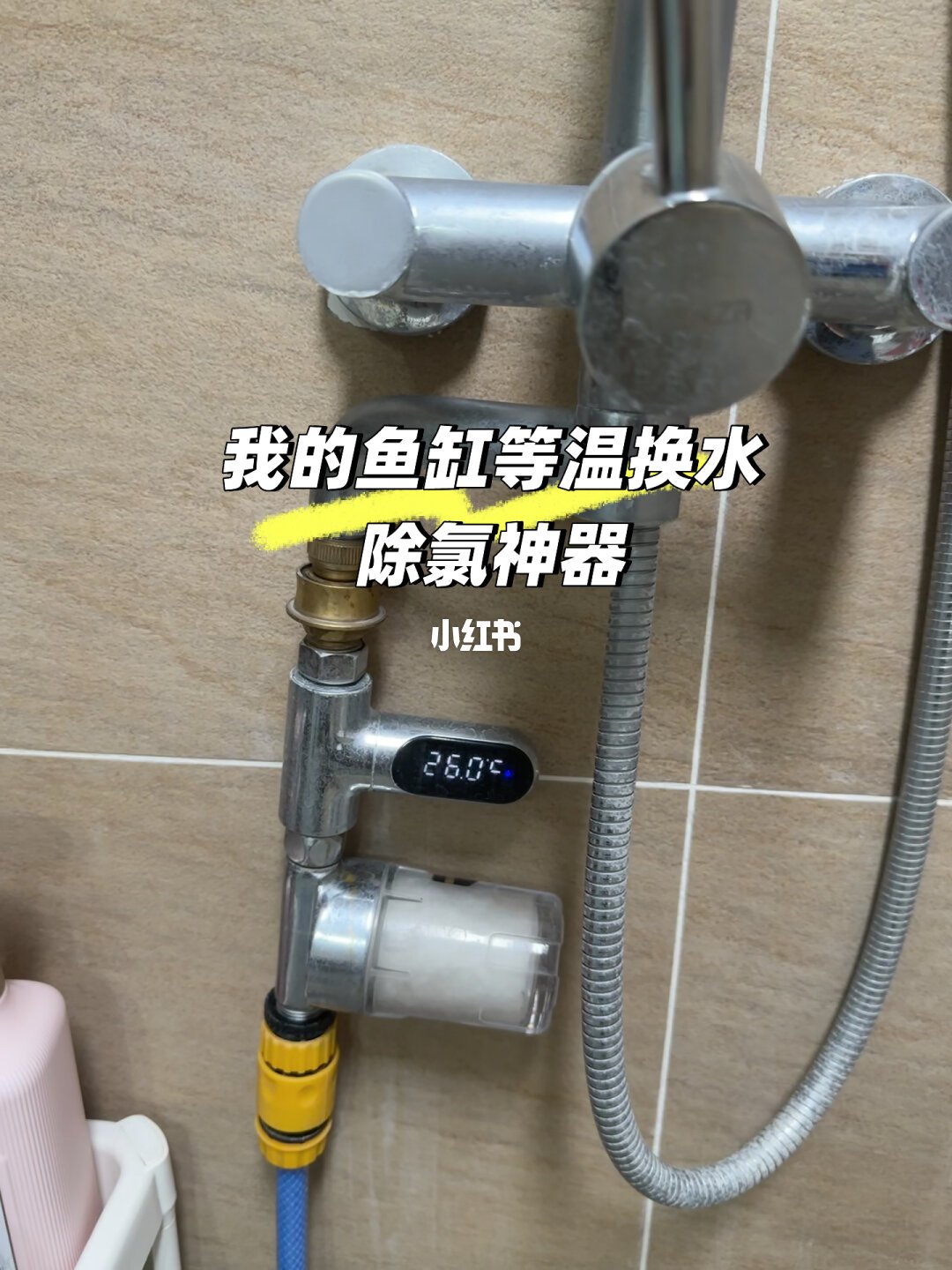 冬天最先死的鱼，往往是被最勤快的手换死的：换水设备的六级阶梯，你该站哪一级？