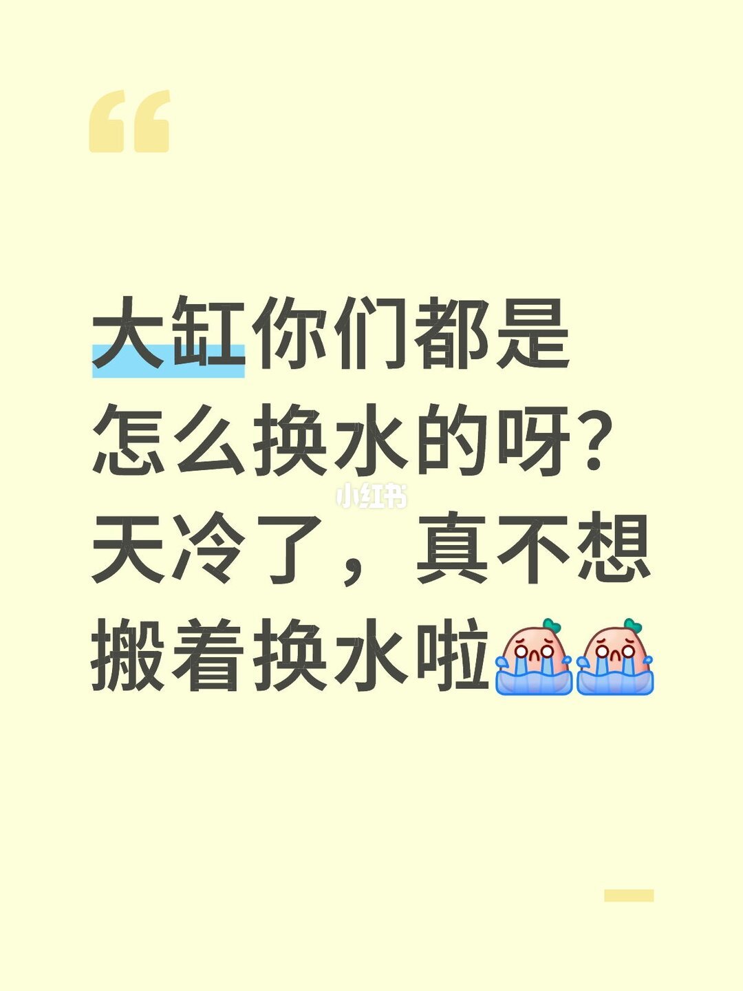 冬天最先死的鱼，往往是被最勤快的手换死的：换水设备的六级阶梯，你该站哪一级？