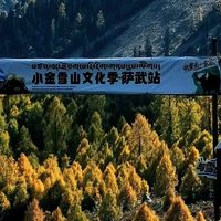 老人蛋白粉怎么选：八款主流产品的配方与包装对比