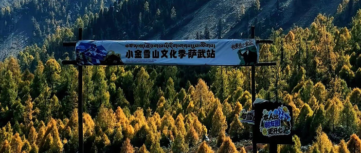 老人蛋白粉怎么选：八款主流产品的配方与包装对比