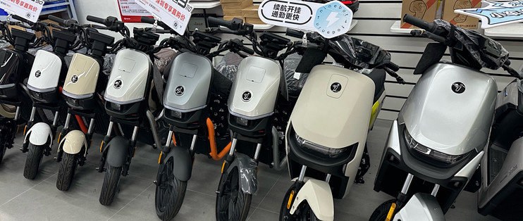 新国标之下，电自比电摩更贵，这是什么操作