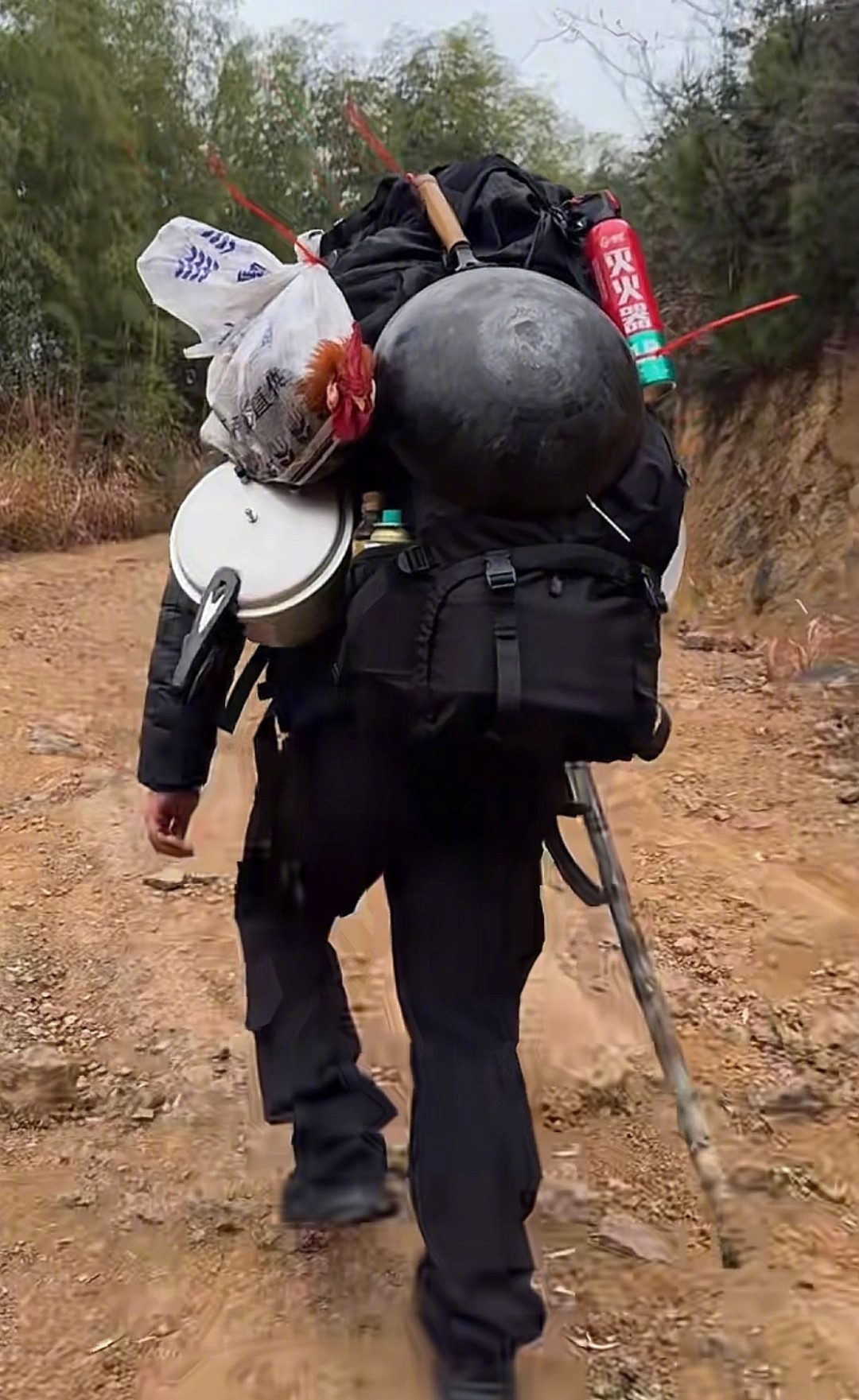 山脚下的木棍才几块钱,登山杖凭什么贵?双11买杖,先答这3道题