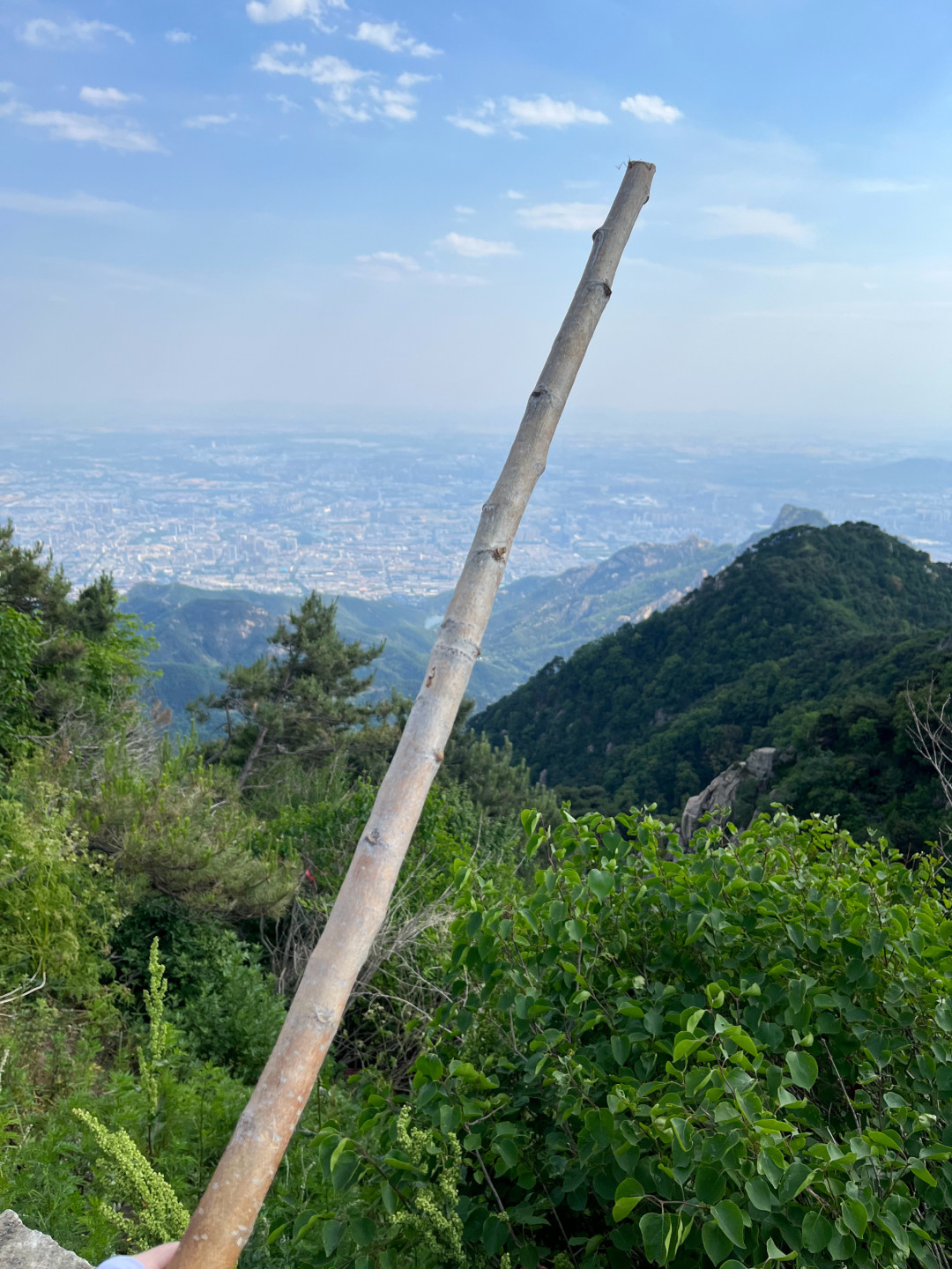 山脚下的木棍才几块钱,登山杖凭什么贵?双11买杖,先答这3道题