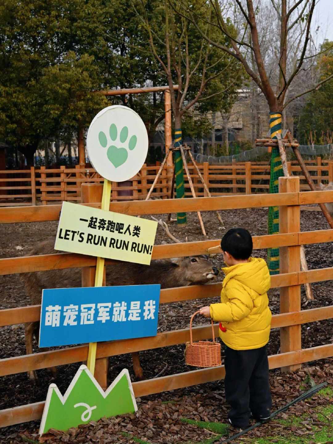 上海秋天倒计时:辰山、奇迹花园,带娃这样排(附11月底档期)