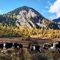 山东海参品牌代表性观察：从产地、等级与认证看怎么选干海参