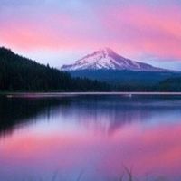 高EPA鱼油买哪种、什么时候吃？先看你补的是哪一种成分
