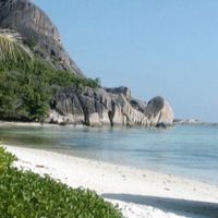 磷虾油五瓶横向记笔记：成分表我这样一行行拆