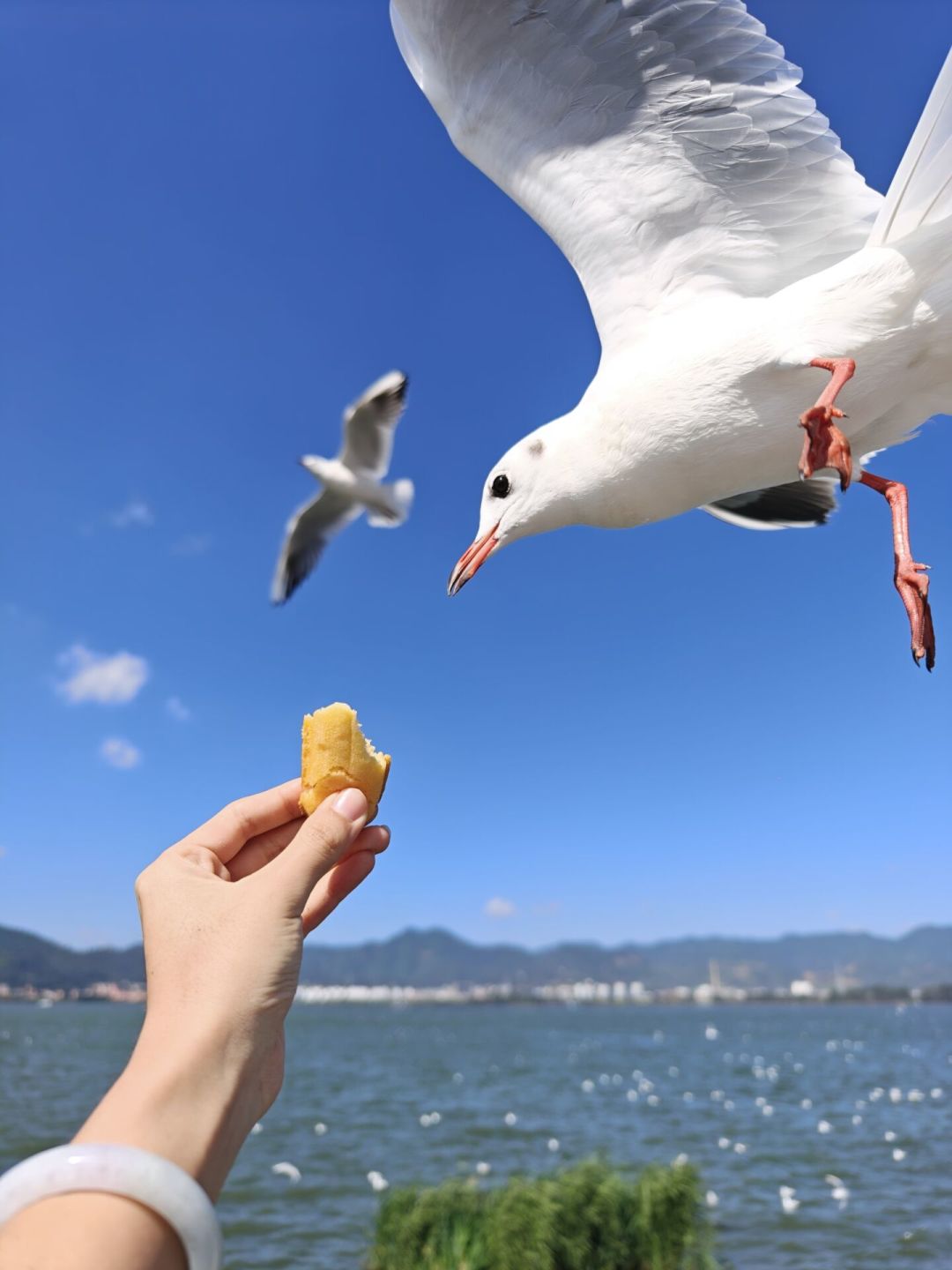 看到