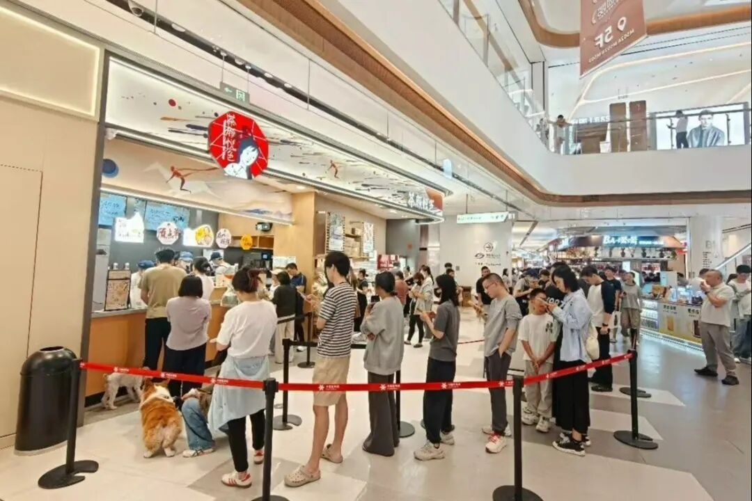 茶颜悦色的上海首秀,被台风腰斩:想喝?地铁11号线终点站就有