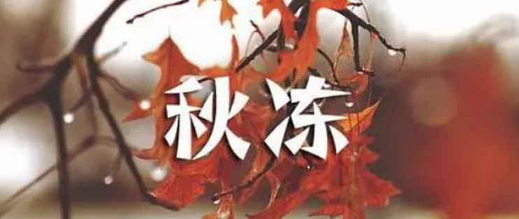 请马上停止“秋冻”！身上这4个地方只要一受凉，整个冬天都难熬