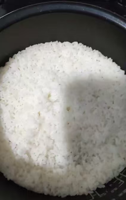 金龙鱼盘锦大米实测：好米煮好饭