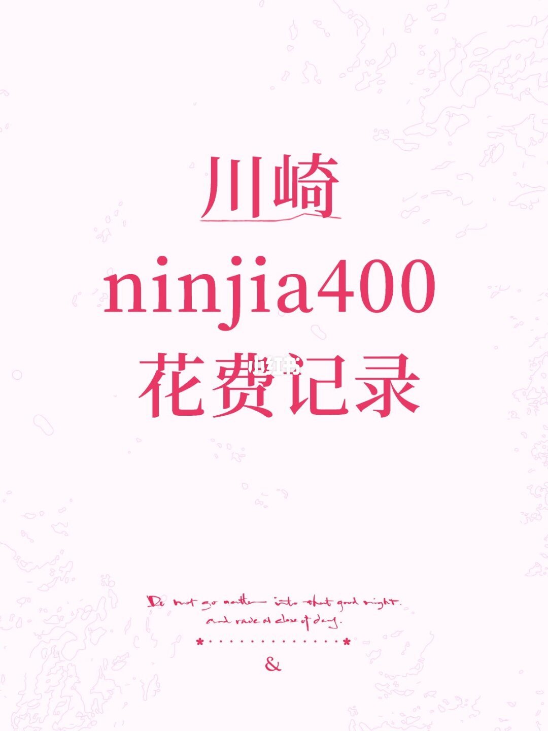 忍者400车主的花费记录（图源：小红书@AAA-momo批发）