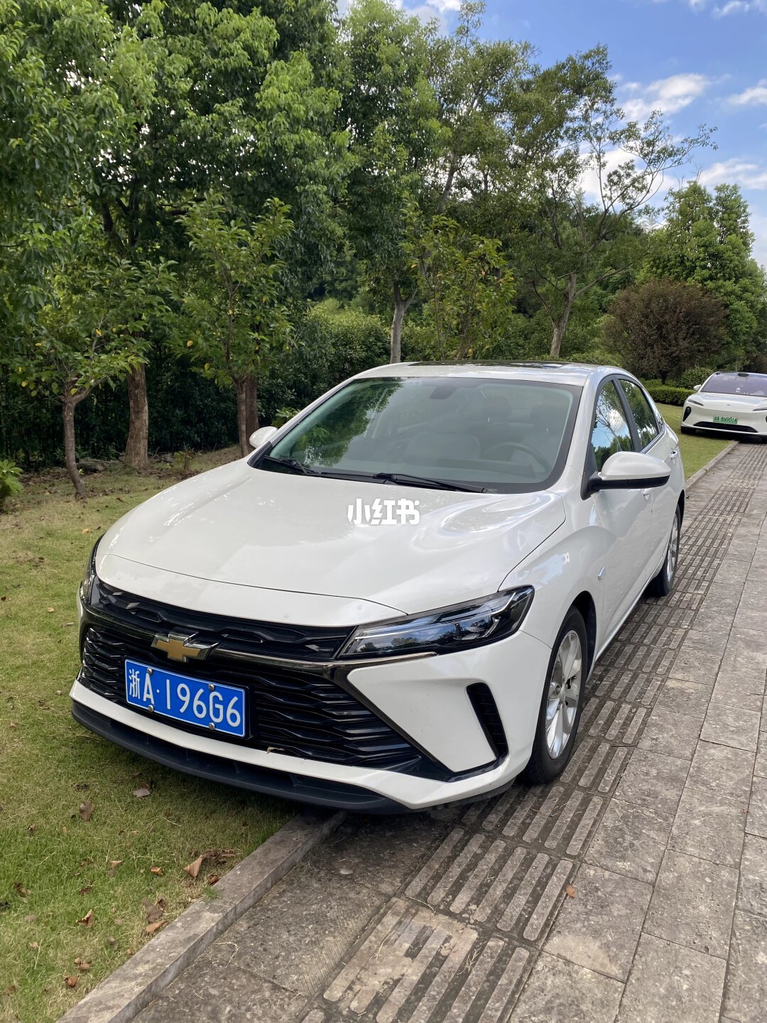 神州租车的科鲁泽彩蛋车