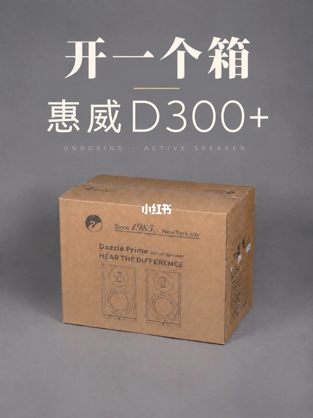 惠威官方近期主推的D300+包装清单