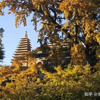 秋天的街拍到了最好拍的时候：机位、光线和动作，照抄就出片