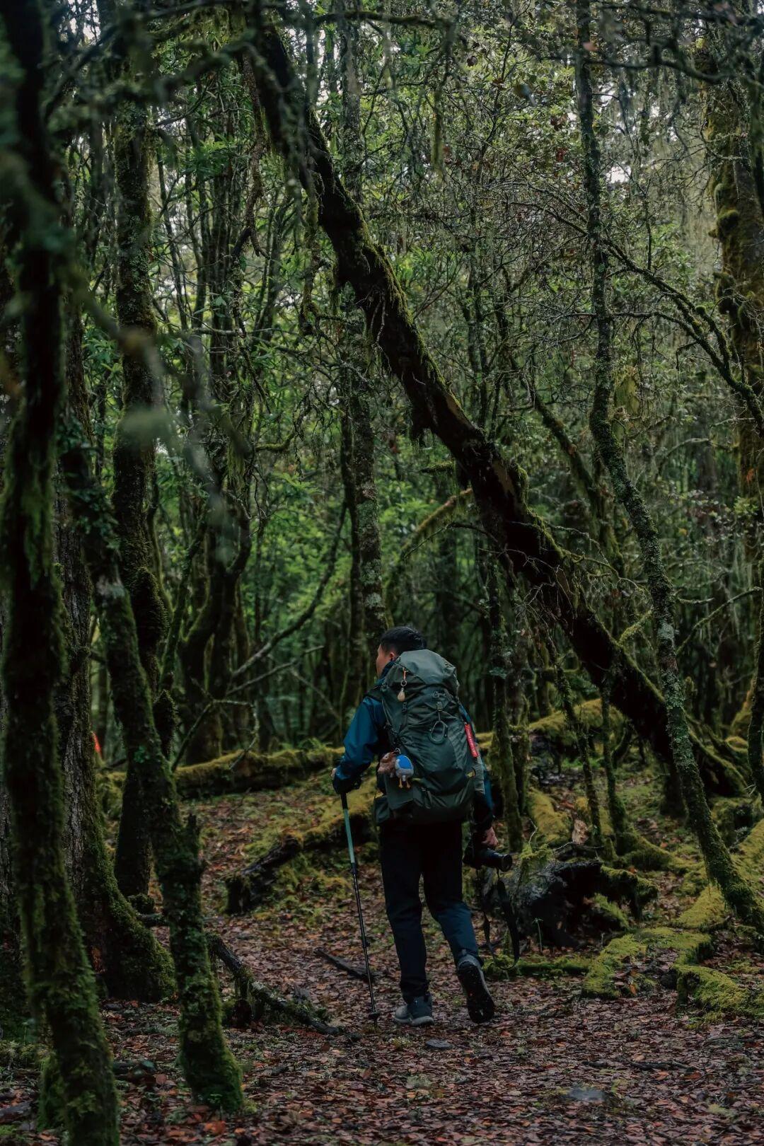 新包到手先别急着上山:空包调=白调,四步把格里高利