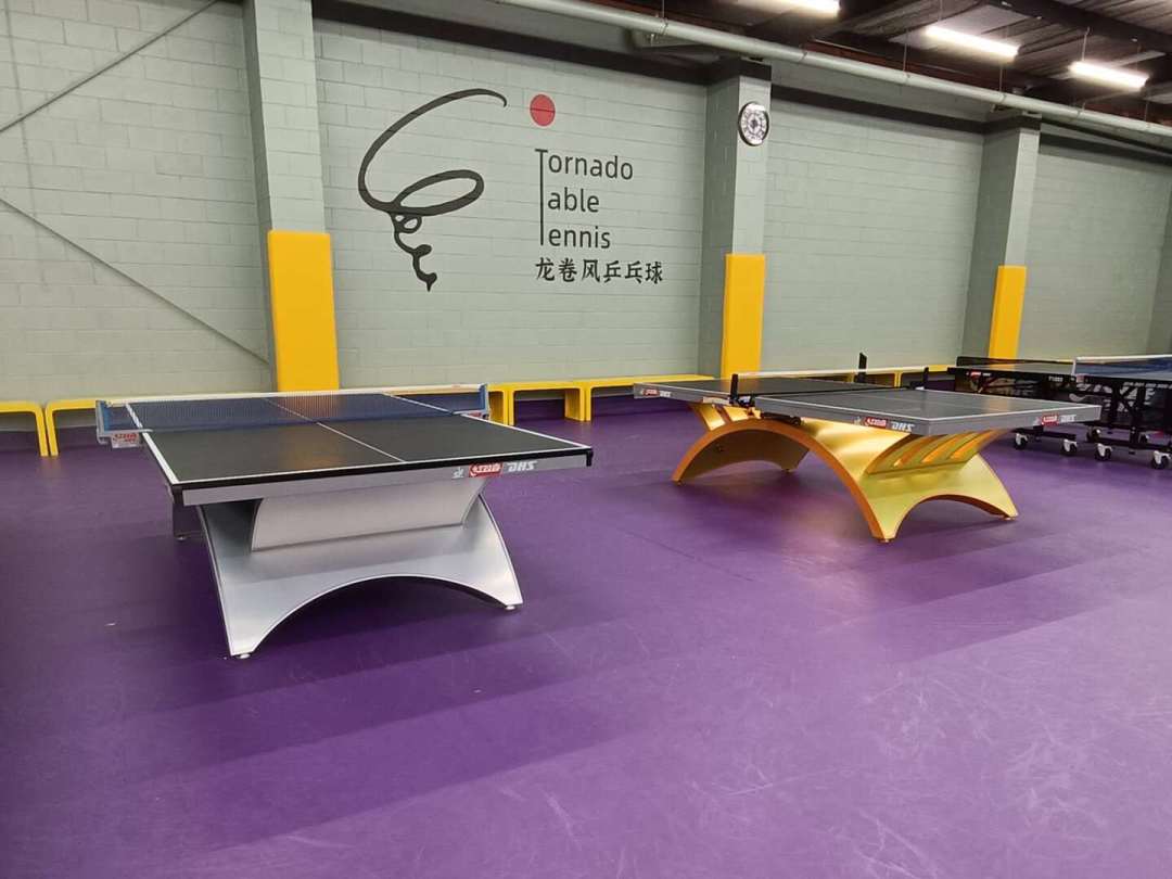 一张奥运同款球台进客厅，双11挑红双喜，台面厚度只是第二道