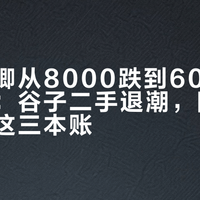 一枚吧唧从8000跌到60只要一次再贩：谷子二手退潮，回血前先算清这三本账