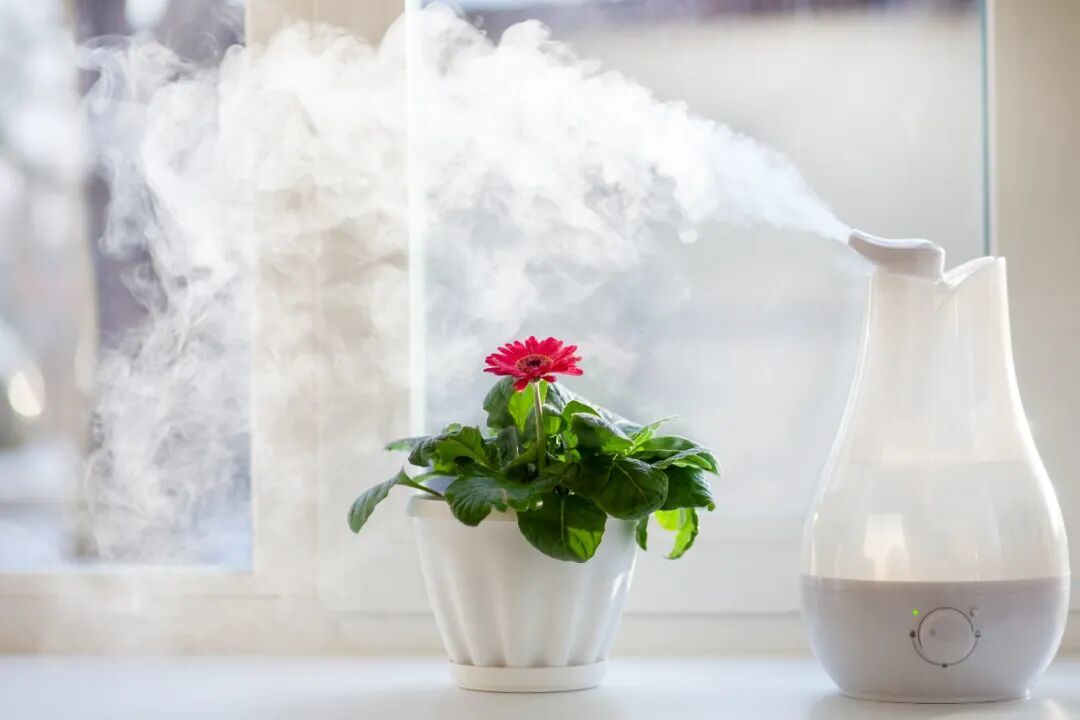 夜里开机，早上家具上一层白粉：加湿器的账，今年供暖前要先算