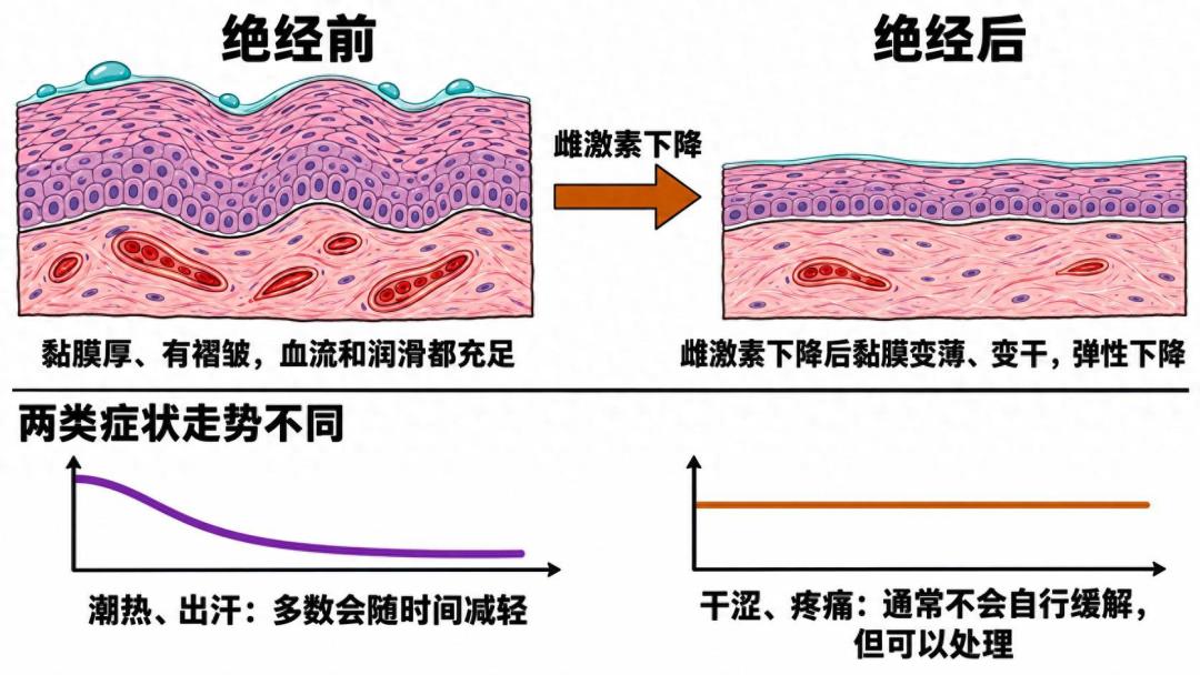 绝经后不是“不想”,是“疼”:1446条评论揭开没人说的性健康话题