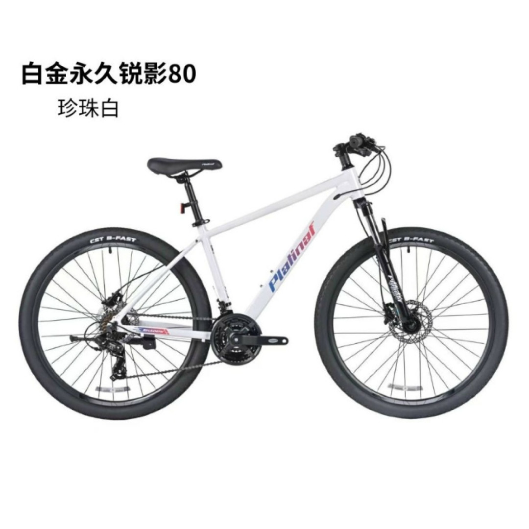 永久自行车母公司进入破产清算，国货老字号真的要凉了吗？
