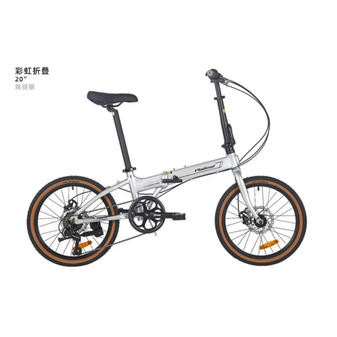 永久自行车母公司进入破产清算，国货老字号真的要凉了吗？