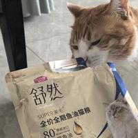 实测麦富迪舒然猫粮，把高纯鱼油与肠胃吸收讲透