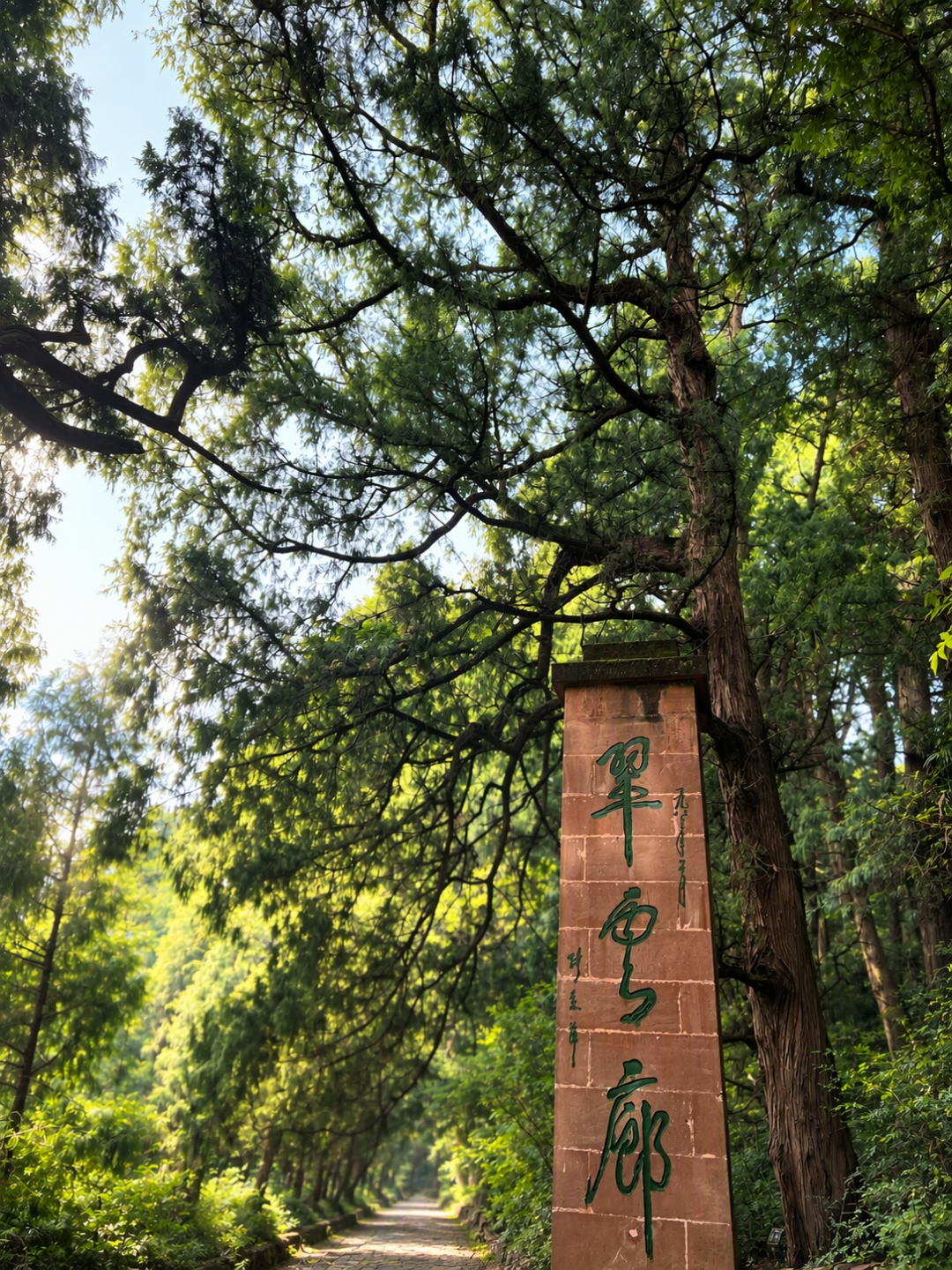 翠云廊古柏长廊