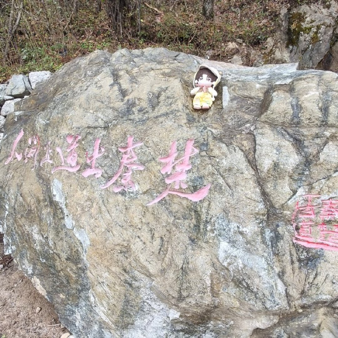 16分钟高铁到终南山顶:免票秦楚古道值得去,但先看完这些