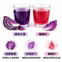 紫甘蓝加点酸，为什么就变红了？