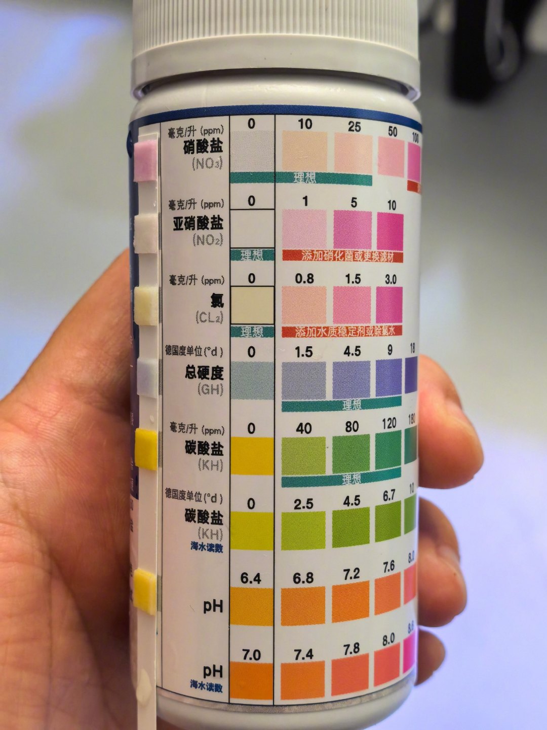 擦缸越勤,鱼死得越快?这4个勤奋操作正在毁掉鱼缸