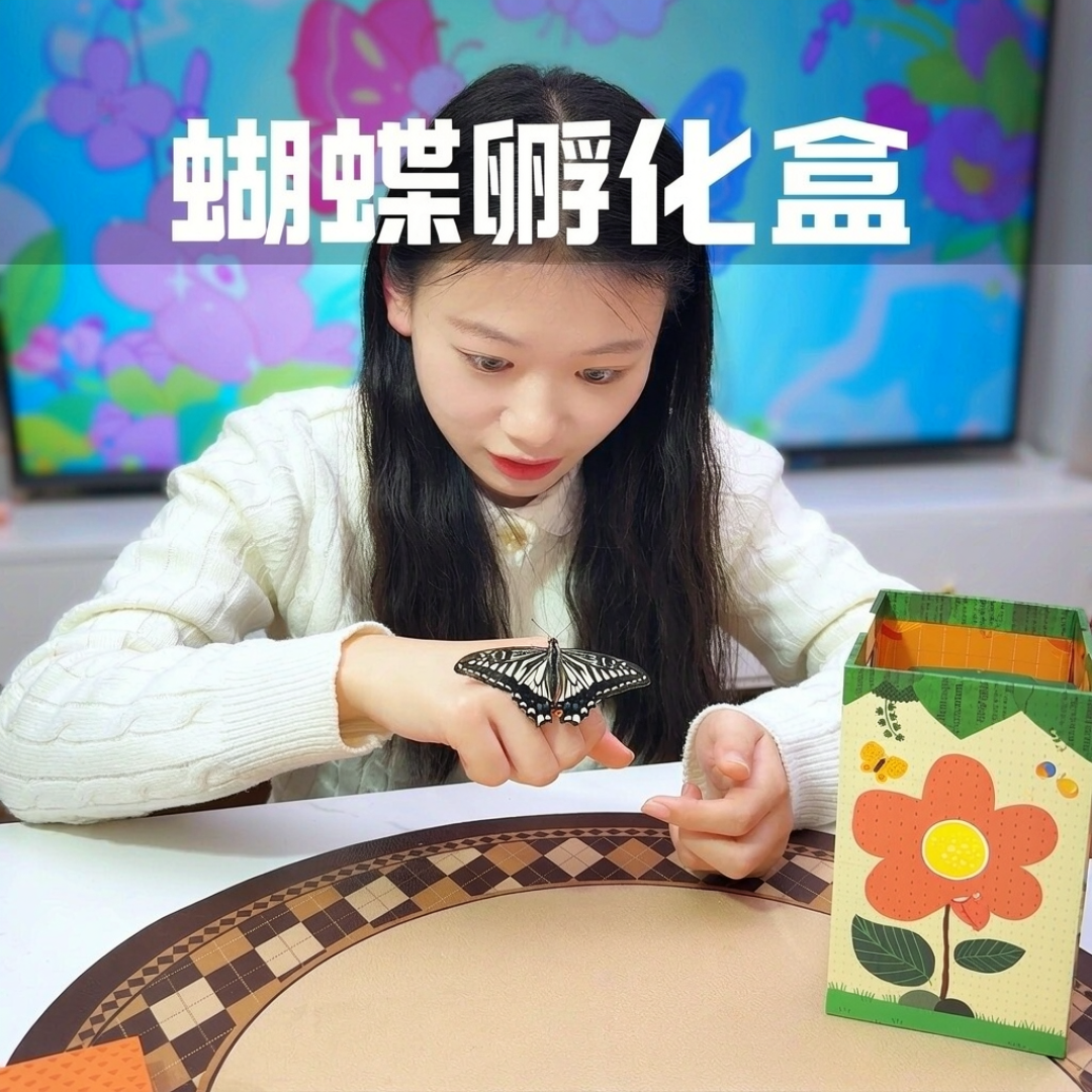 越冬蛹开始上架、孵化盒被收藏破万：这个冬天，