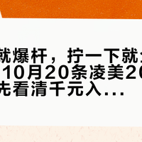 摔一下就爆杆，拧一下就全漏：对完5-10月20条凌美2000维修帖，先看清千元入手的“杜康”持有成本