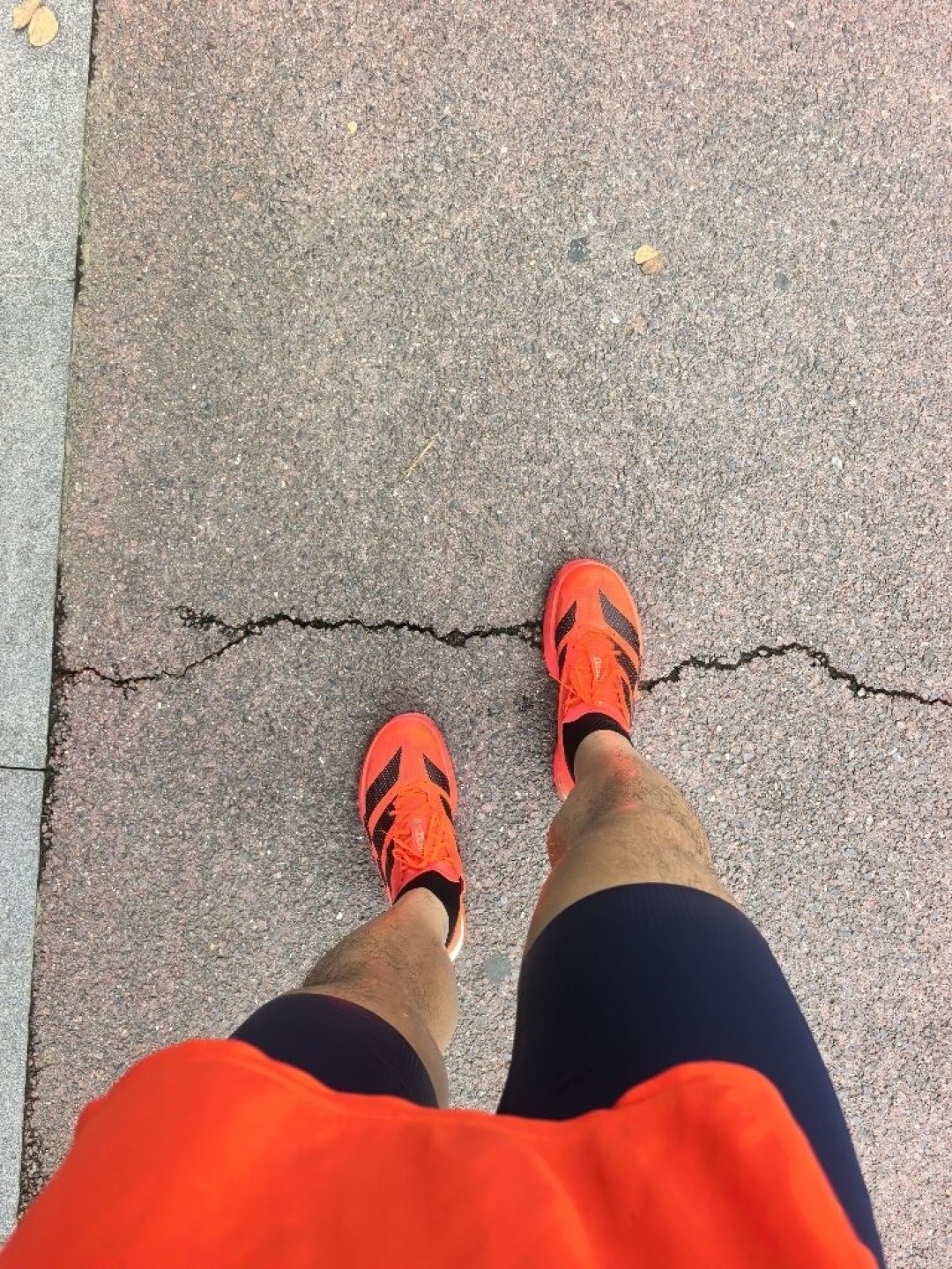 1799元的碳环旗舰和529元的上代真冠军：双11换比赛鞋的路跑党，先把吐槽、价梯、适配这三本账对完