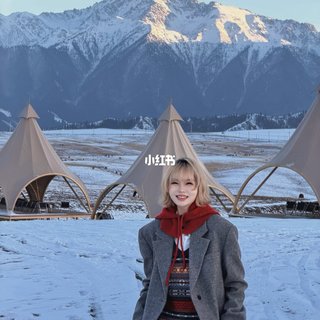 睡车里还是订酒店：入冬第一场零下夜之前，我把全网床车实测答案对了一遍