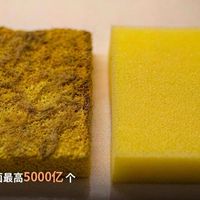 洗碗海绵不臭就接着用？德国检测泼了盆冷水：气味和细菌量不相关，消毒也只管续命