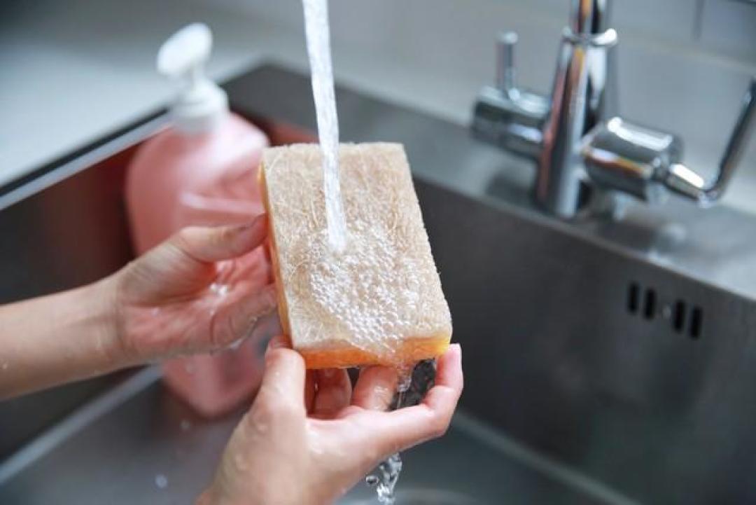 洗碗海绵不臭就接着用?德国检测泼了盆冷水:气味和细菌量不相关,消毒也只管续命