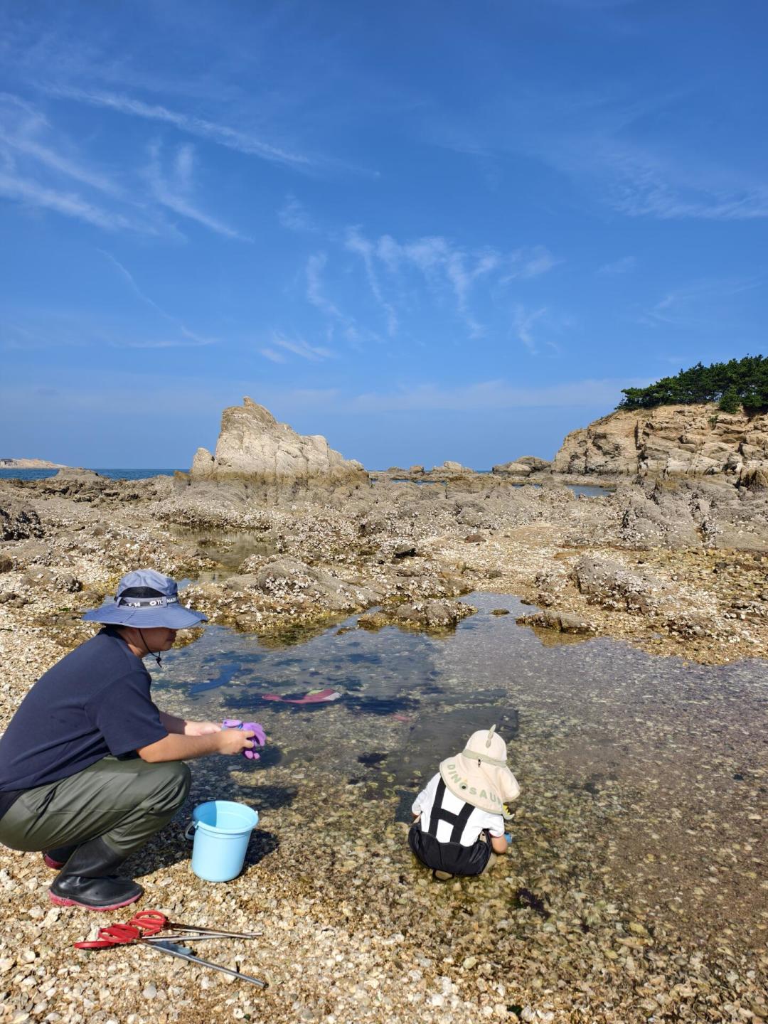 天鹅已到！威海带娃4天3晚，2–12岁错峰路线+账本